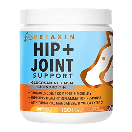 Petaxin Glucosamine for Dogs – Advanced Hip and Joint Supplement - Support for Dog Joint Pain Relief and Dog Mobility – With Chondroitin, MSM, Turmeric, & Yucca – All Ages & Sizes -120 Chews