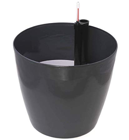Beegreen 11" Self Watering Planter with One Gallon Water Reservoir.
