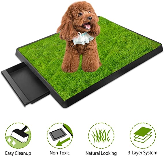 Grass Patch for Dogs, Grass Pee Pad Dog Potty with Tray, Fake Grass for Dogs Indoor and Outdoor Use, Dog Turf Puppy Training Pad, Best for Medium and Small Dog, by GPCT