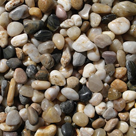 Exotic PMS0510 Polished Gravel, Mixed, 5 Pounds, 3/8-Inch