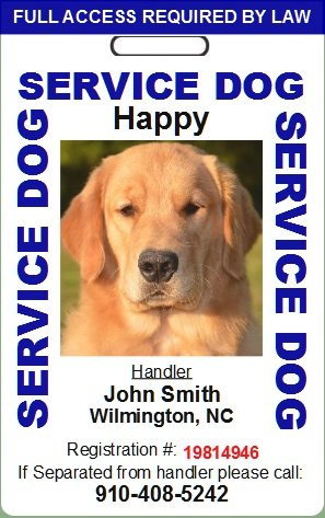 Custom Service Dog ID Card (Blue)
