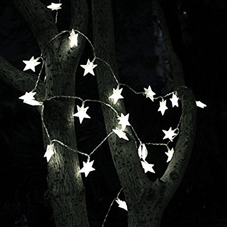 TINNZTES 4m/13ft 40 LED Star Light Fairy String Light for Christmas XMAX Weddings Family Festival School Party (Cool White)