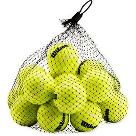 Wilson Pressureless Tennis Balls (18-Pack)