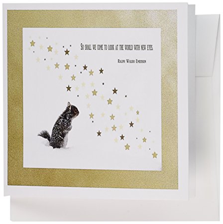 3dRose Squirrel, New years, Ralph Waldo Emerson Quote - Greeting Cards, 6 x 6 inches, set of 12 (gc_62729_2)