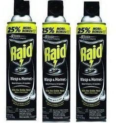 Raid - Raid Wasp and Hornet Spray- 3 Pack