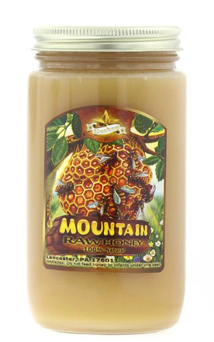 100% Natural Raw Domestic Mountain Honey - Made in USA (Lancaster, PA) 1lb - *Amish Honey*