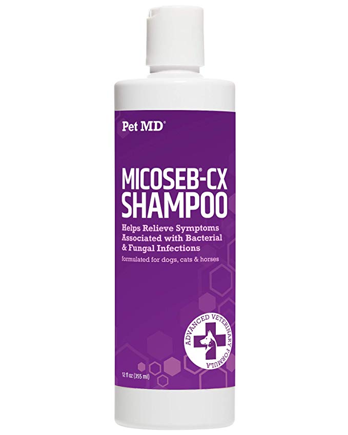 Pet MD Micoseb-CX Medicated Shampoo for Dogs, Cats, Horses with Miconazole, Chlorhexidine for Fungal & Bacterial Skin Infection Treatment of Yeast, Ringworm, Mange, Acne