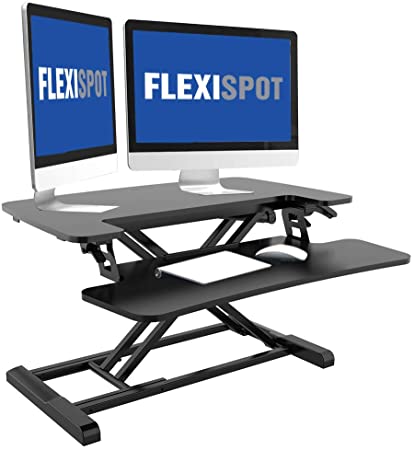 FLEXISPOT Sit Stand Desk Standing Desk Height Adjustable Desk M17MB (MEDIUM)