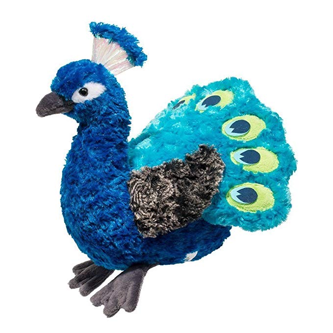 Douglas Pavo Peacock