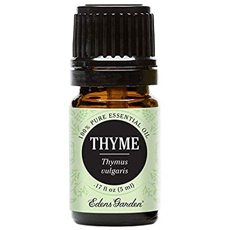 Edens Garden Thyme Essential Oil, 100% Pure Therapeutic Grade (Highest Quality Aromatherapy Oils- Inflammation & Pain), 5 ml