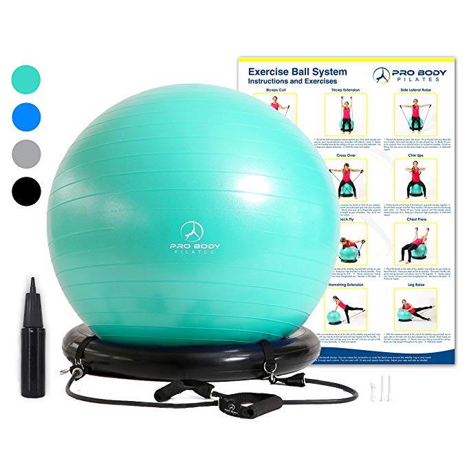 Exercise Ball Chair System - Yoga and Pilates 65 cm Ball with Stability Base and Workout Resistance Bands for Gym, Home, or Office