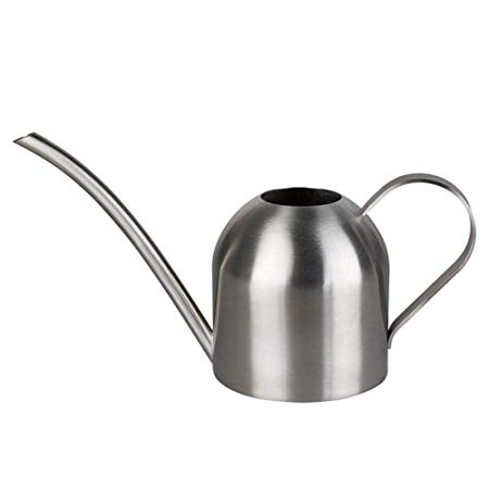 Hamkaw Office Watering Can, Ultra-Thin Modern Style Brushed Stainless Steel Watering Can Pot,500ml/17OZ House Plant Watering Can with Comfort Handle,Long Spout,Strong Body for in/Outdoor