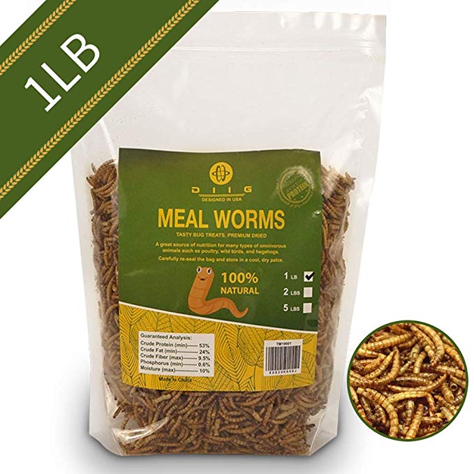 diig Non-GMO Dried Mealworms - Treats for Birds Chickens Hedgehog Hamster Fish Reptile Turtles, 1 lb