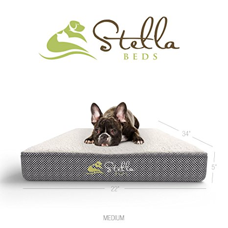 Stella Beds Elevated Memory Foam Orthopedic Dog Bed with Removable Cover