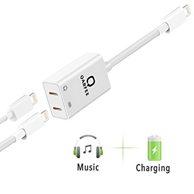 iPhone Lightning Adapter and Splitter,QARFEE 2 in 1 Dual Lightning Headphone Audio & Charge Adapter For iPhone 7/8/X/7 plus/SE iPad Pro/Air/Mini For iOS 10/11