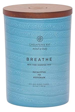 Chesapeake Bay Candle Mind & Body Serenity Scented Candle, Breathe with Pure Essential Oils (Eucalyptus, Fir, Petitgrain), Medium