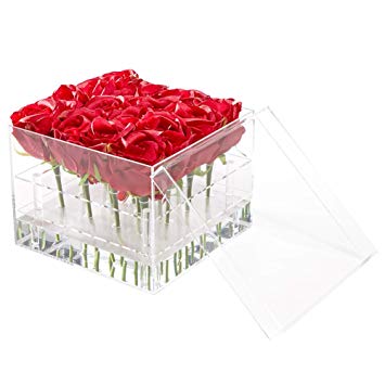 Greatpril Transparent Square Multi-function Water Holder Flower Pot, Eyebrow Pencil & Eyeliner Organizer 16 Hole 2 Tiers