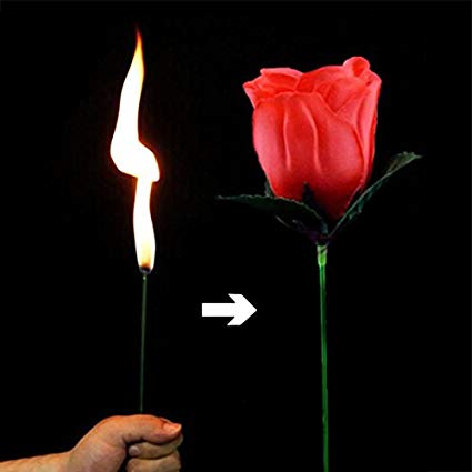 Yeahgoshopping Torch to Rose Magic Trick - One Item