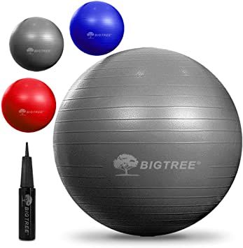 Bigtree Exercise Ball (55-75cm)(21.65-29.53inch) Extra Thick Yoga Ball Chair, Anti-Burst Heavy Duty Stability Ball, Birthing Ball with Quick Pump (Office & Home & Gym)