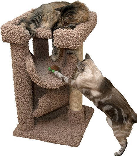 Small Cat Tree Bed Brown 33 inch Carpet Cat Furniture Wood with Sisal Rope Large Cats