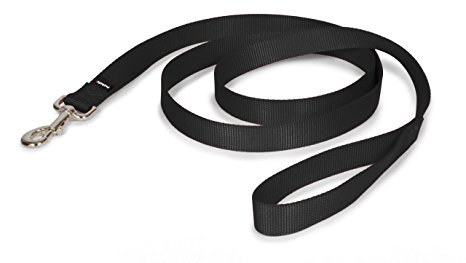 PetSafe Nylon Leash, 1" x 6', Black