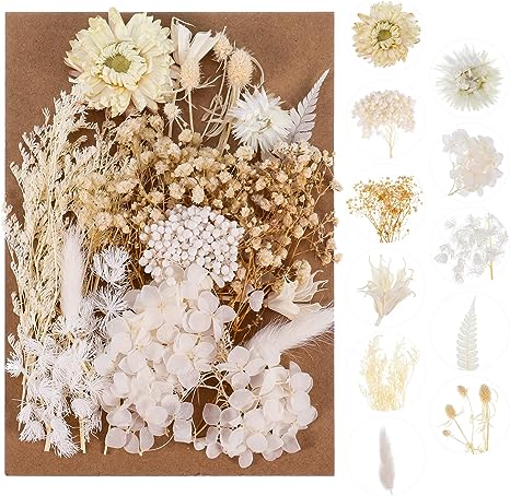AhlsenL Real Dried Flowers, Natural Dried Flowers Mixed, Hydrangeas, Daisies, Natural Pressed Flowers White Decorative Dried Flowers for DIY Candle Resin Jewelry Nail Pendant Crafts Making