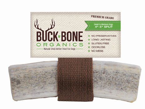 100 Natural Shed Grade A Elk Antler Dog Chew Treats Odor-Free Long Lasting Gluten Free and Healthy Single Ingredient Made in the USA Satisfaction Guaranteed