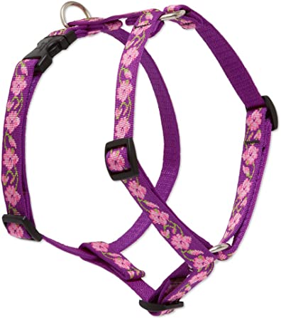 LupinePet Originals 3/4" Rose Garden 12-20" Adjustable Roman Dog Harness for Small Dogs