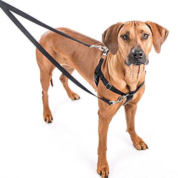 2 Hounds Design Freedom No-Pull Dog Harness: Velvet Padding, Multi-function & USA Made! Lots of Sizes & Colors (Leash Not Included)
