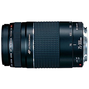 Canon EF 75-300mm F/4.0-5.6 USM III Compatible with Filter Size - 58mm