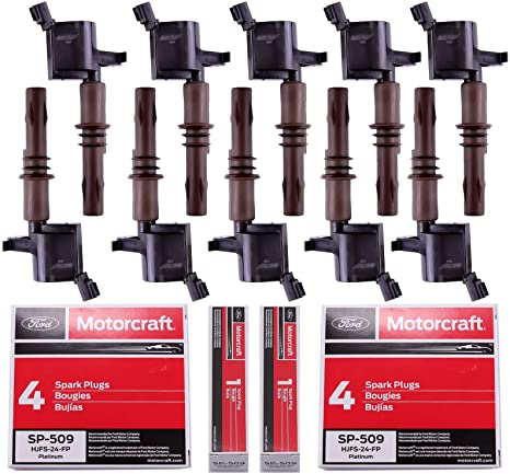 Set of 10 DG521 High Performance Ignition Coils (Brown Boot)   (10) Spark Plugs SP509