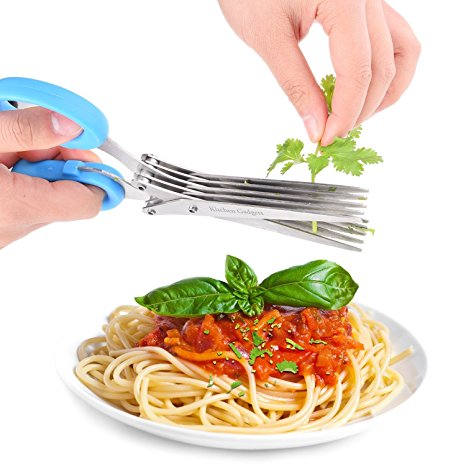 Qualimate Multifunction 5 Blade Vegetable Chopper Paper Shredder cutting stainless Steel Herbs Scissor with Blade Comb Scissor(Multicolour)