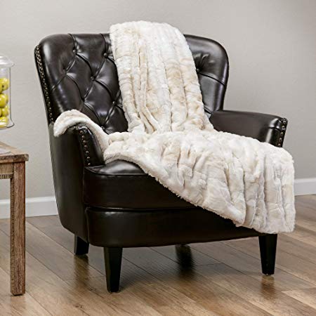 Chanasya Faux Fur Throw Blanket | Super Soft Fuzzy Light Weight Luxurious Cozy Warm Fluffy Plush Hypoallergenic Blanket for Bed Couch Chair Fall Winter Spring Living Room Throw (50x65) -Taupe