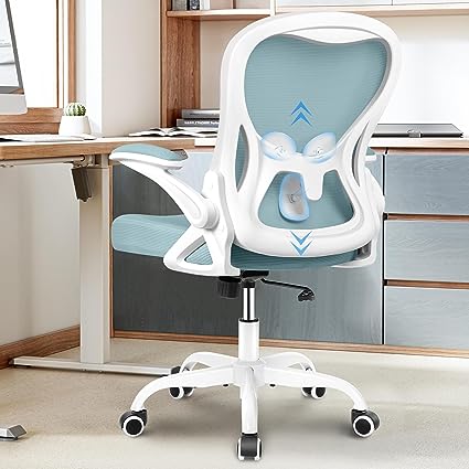 Winrise Office Chair Desk Chair, Ergonomic Mesh Computer Chair Home Office Desk Chairs, Swivel Task Chair Mid Back Breathable Rolling Chair with Adjustable Lumbar Support Flip Up Armrest (Light Blue)