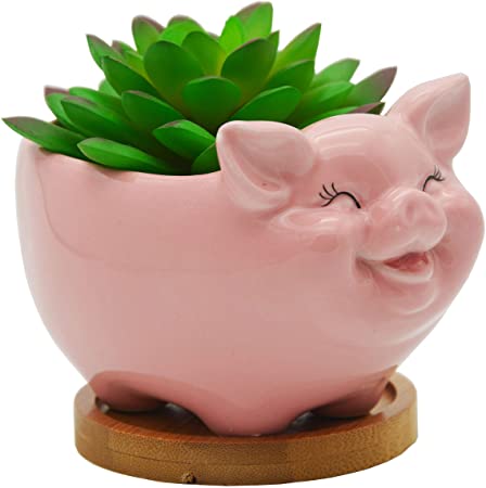 Cute Animal Pig Shaped Ceramic Succulent Cactus Flower Pots with Bamboo Tray (Plant Not Included) … (Medium, Pink)