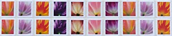 2023 Tulip Blossom Forever First Class Postage Stamps (20 Count Strip)