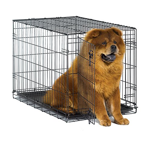 New World Dog Crate