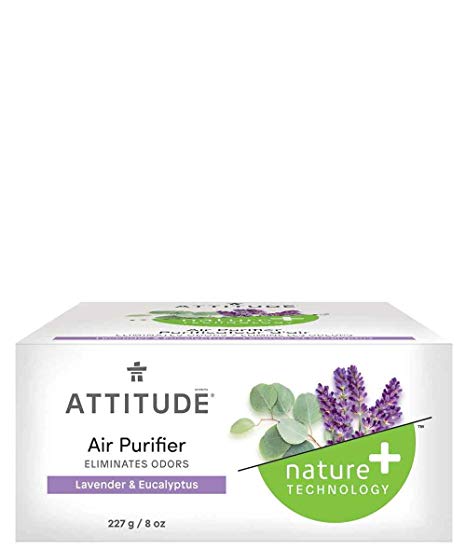 ATTITUDE Hypoallergenic Air Purifier with Activated Carbon Filter, Eucalyptus, 8 Ounce
