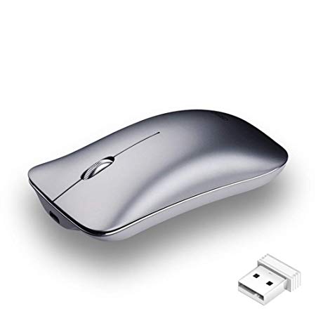 Wireless Mouse 2.4G Fast-Scrolling Ergonomic Ultra Silent Smooth Optical Wireless Mice with USB Nano Receiver for Laptop PC Chromebook Notebook and More-Silver