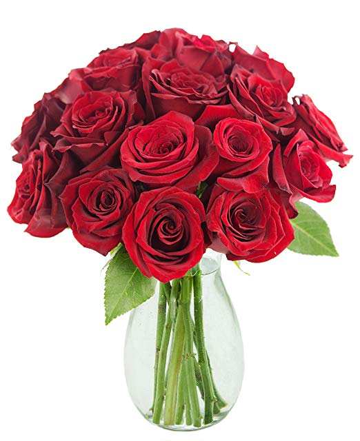 The Romantic Classic Red Rose Bouquet of 18 Fresh Cut Red Roses (Farm-Fresh, Long-Stem) with Free Vase Included