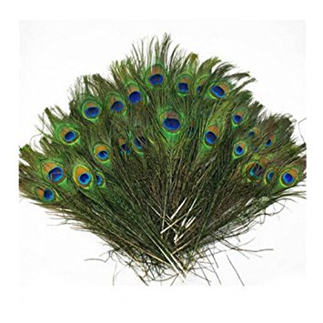 Herebuy8 50pcs Real Natural Peacock Tail Eyes Feathers Perfect for Wedding Party Arts And Crafts Home Decorations DIY (50pcs)