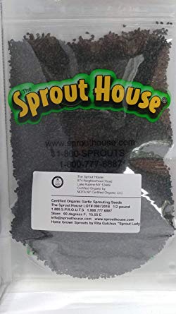 The Sprout House Certified Organic Non-gmo Sprouting Seeds Garlic 1/2 Pound