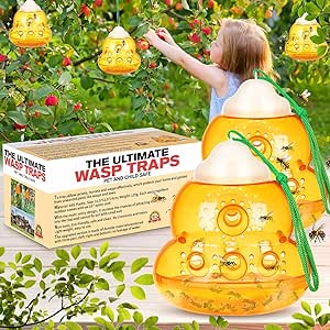 Wasp Trap Outdoor Hanging, Bee Traps Catcher, Effective Outdoor Wasp Deterrent Killer Insect Catcher, New Upgrade Non-Toxic Reusable Hornet Yellow Jacket Trap (Orange, 2 Pack)