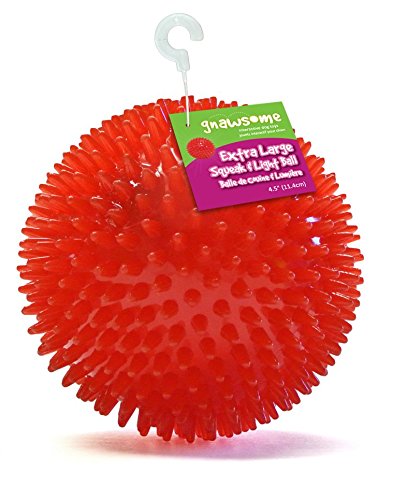 Gnawsome Squeek & Light Up Ball Dog Toy, Extra Large 4.5", Colors will vary