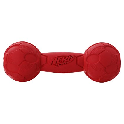 Nerf Dog Squeak Barbell Dog Toy