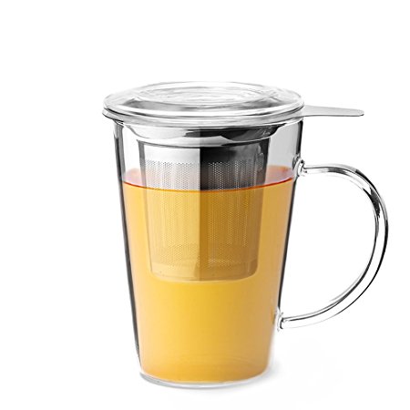 Teabox Clear Tea Mug (Borosilicate Glass, Stainless Steel Infuser, 15 fl oz)