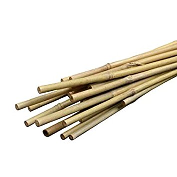 Bond Packaged Bamboo Stakes, 3-Feet, 12-Pack (Discontinued by Manufacturer)