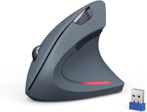 TECKNET Mouse Verticale, 4800 DPI Mouse Wireless Ergonomico, Protegge Il Braccio, Mouse Senza Fili 6 Pulsanti per PC, Computer Portatile, Mac, Grigio