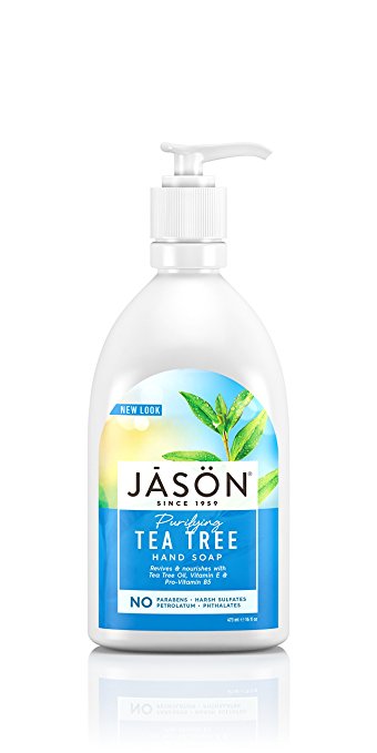Jason Pure Natural Hand Soap, Purifying Tea Tree, 16 Ounce