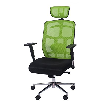 TOPSKY Mesh Computer Office Chair Ergonomic Design Chair Skeletal Back Synchronous Mechanism(Green) Hanger function